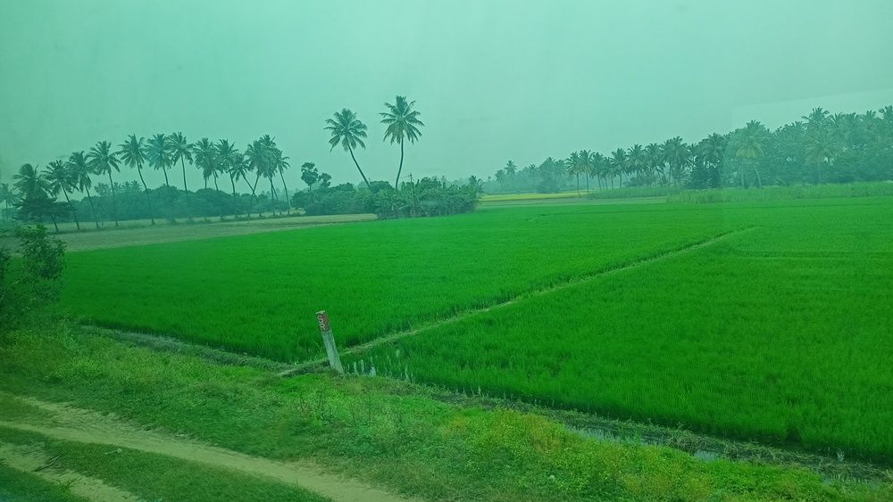Photograph by Rubina Hasan
