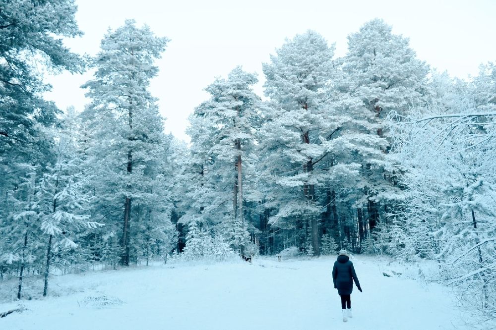 Photograph by Евгения Суслова