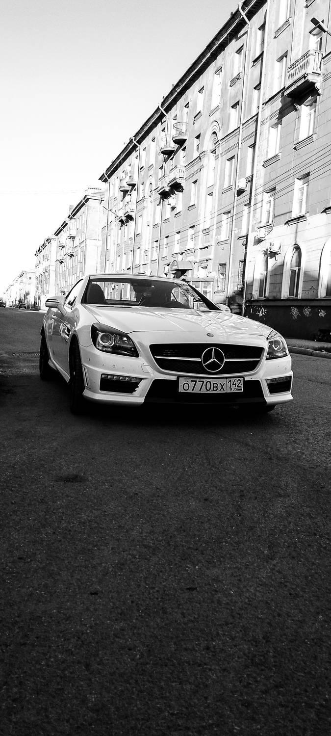 Photo #13646028