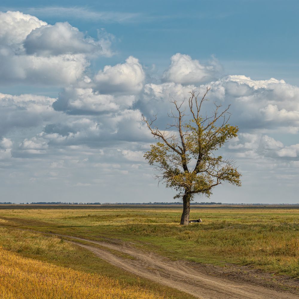 Photograph by Олег Белан