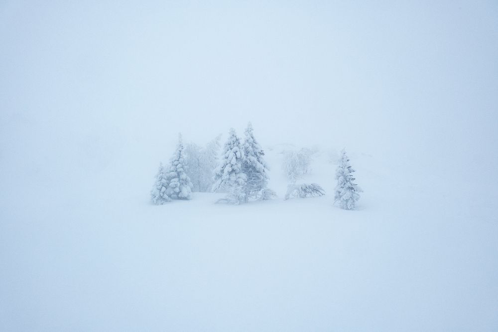 Photograph by Бодрягин Виталий