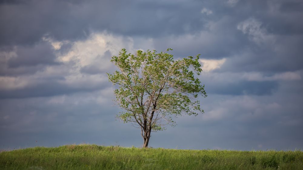Photograph by Олег Белан