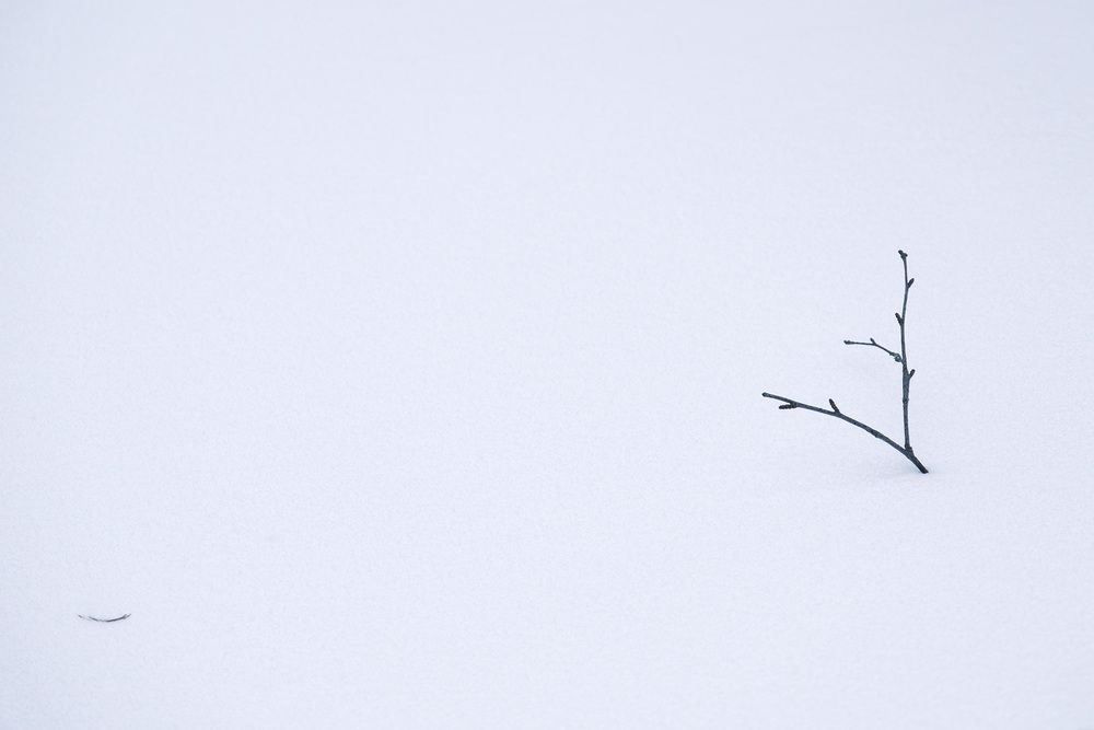 Photograph by Бодрягин Виталий