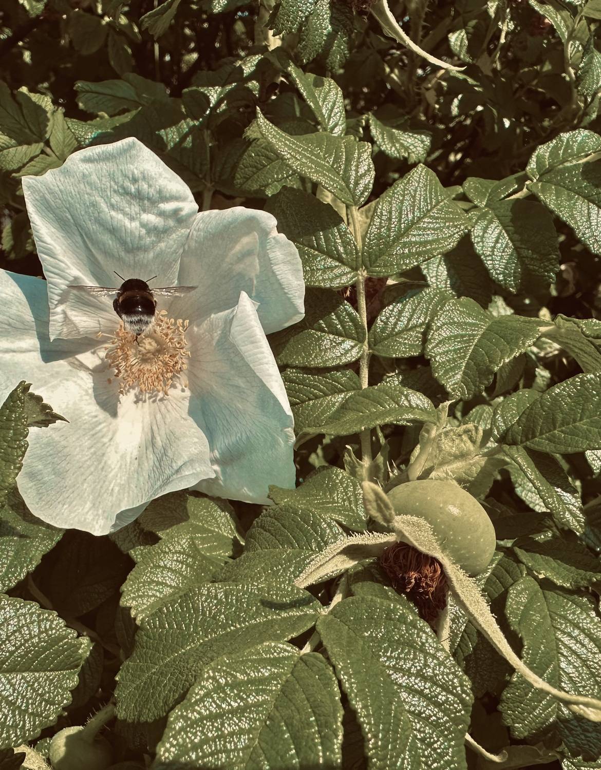 Фотография #13646125