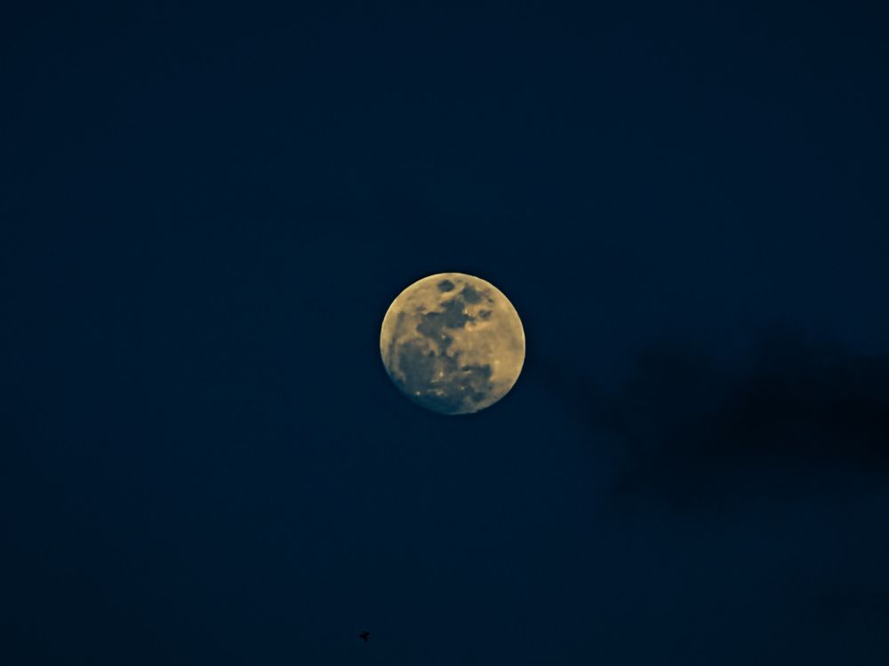 Photograph by Sadiq Seyed