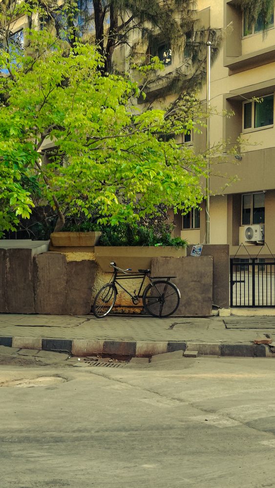 Photograph by Sadiq Seyed