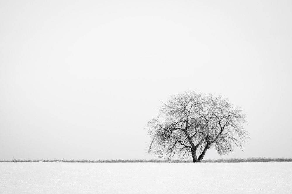 Photograph by Бодрягин Виталий