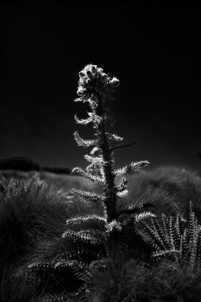 Photograph by Evgeniia Zorina