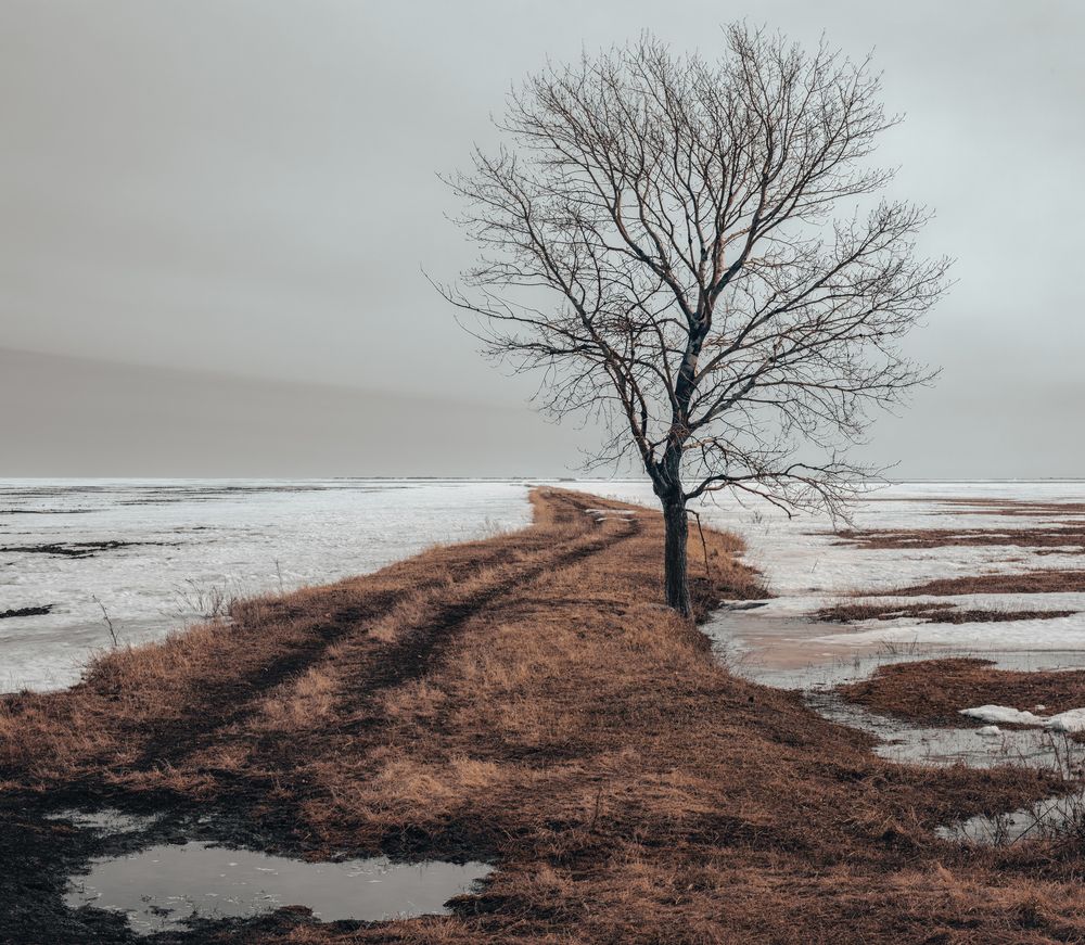 Photograph by Олег Белан