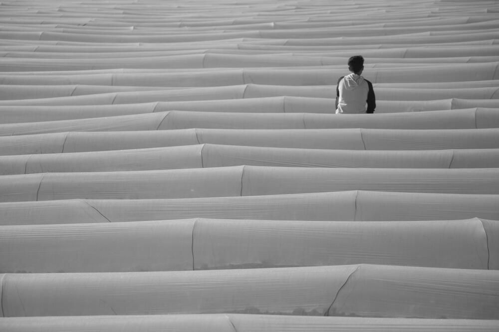 Photograph by amin Sharafiani