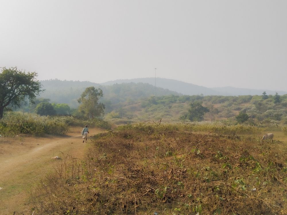 Photograph by Sayoni Manna
