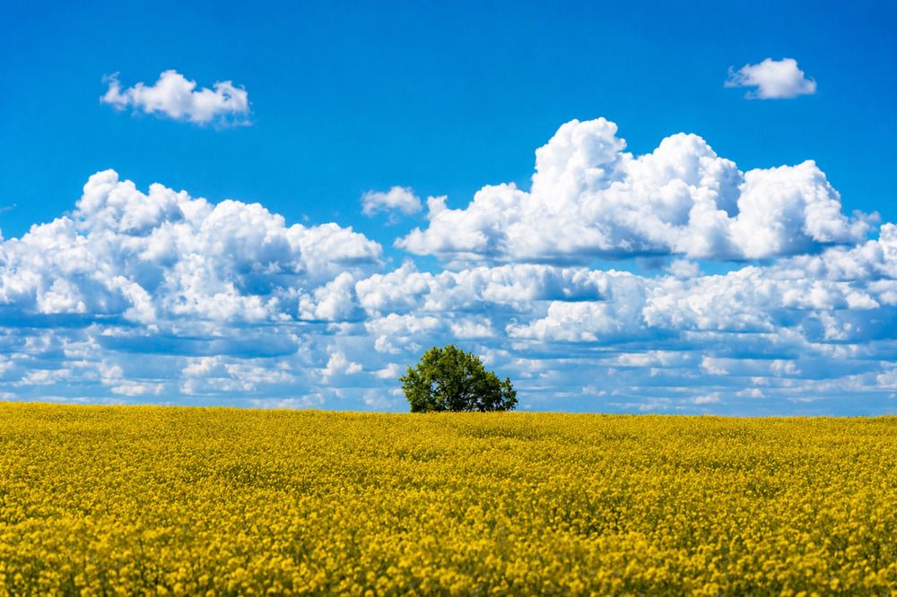Photograph by Андрей Боиц