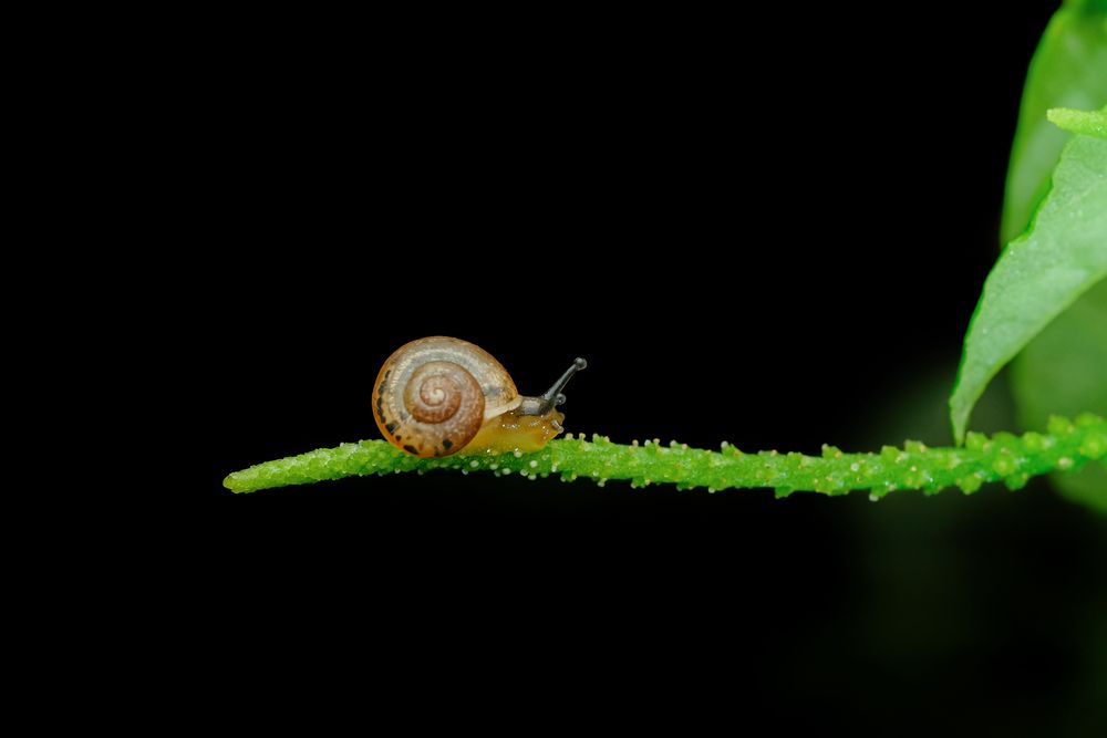 Photograph by Bùi Ngọc Hiếu