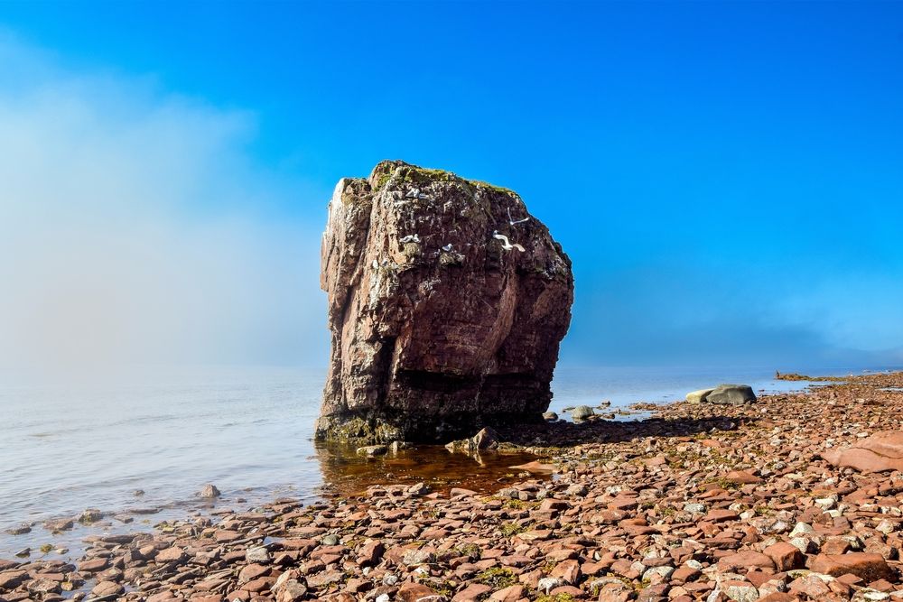 Photograph by Александр Порохов