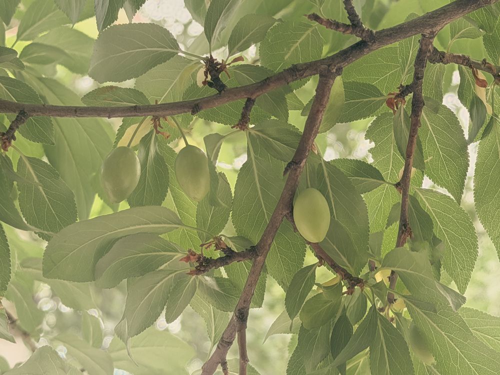 Photograph by Эд