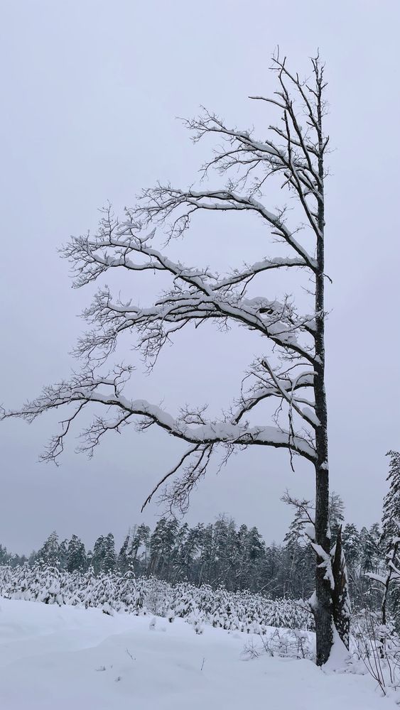 Photograph by Екатерина Кузнецова