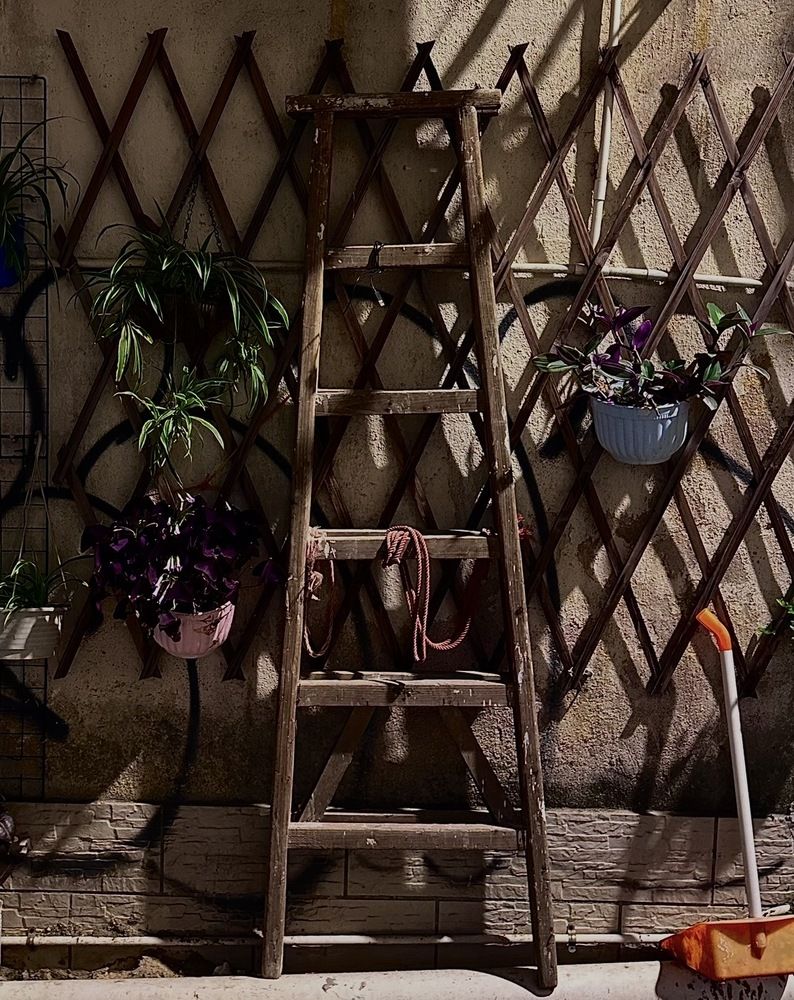 Photograph by Erilina Larisa