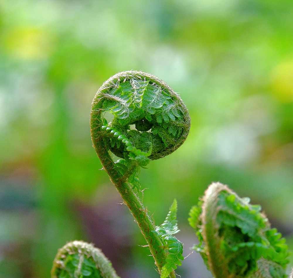 Photograph by Елена Маракулина