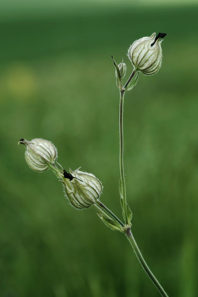 Photograph by Вячеслав Залитко