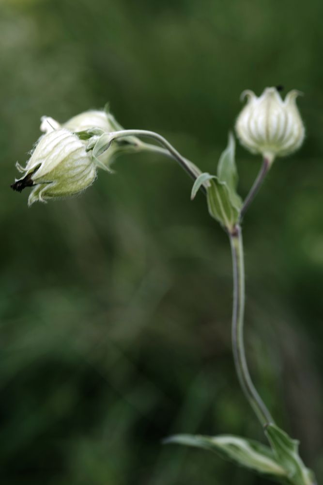 Photograph by Вячеслав Залитко