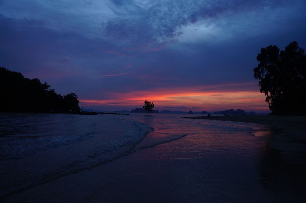 Photo #13646539