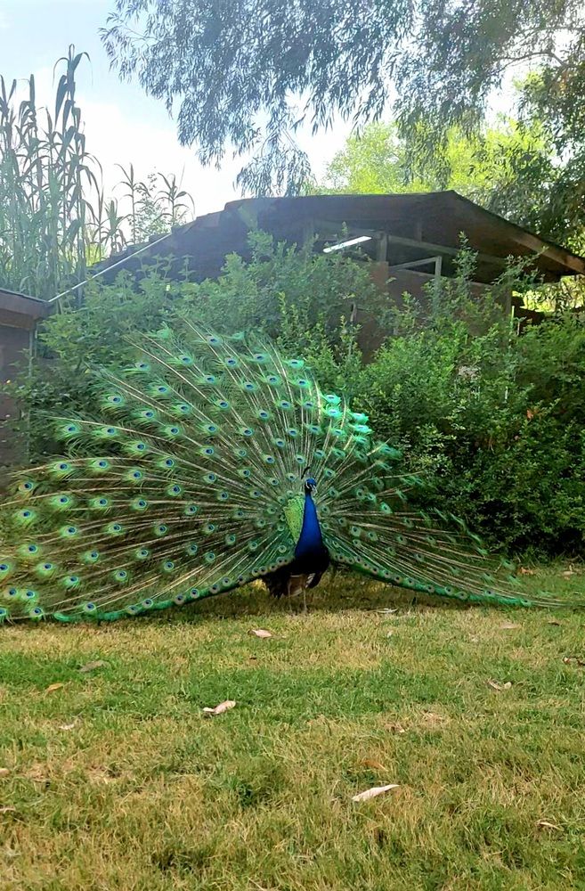 Photograph by Marharyta Khodas