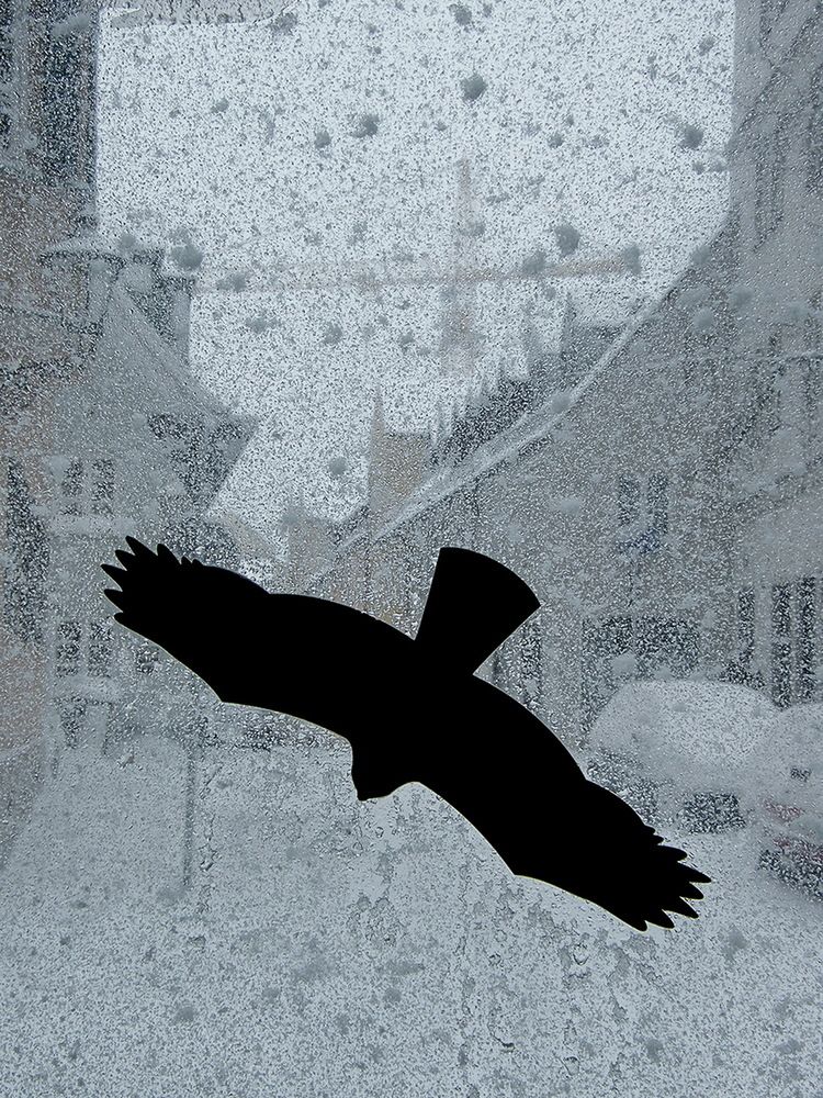 Snowfall