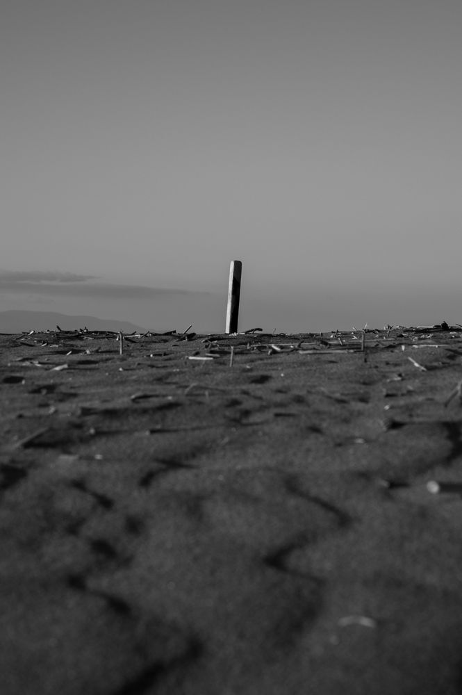 Photograph by KOSHI MASAKI