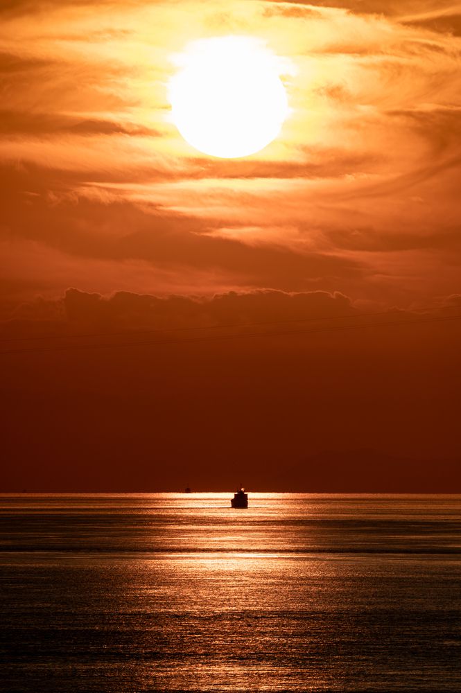 Photograph by KOSHI MASAKI