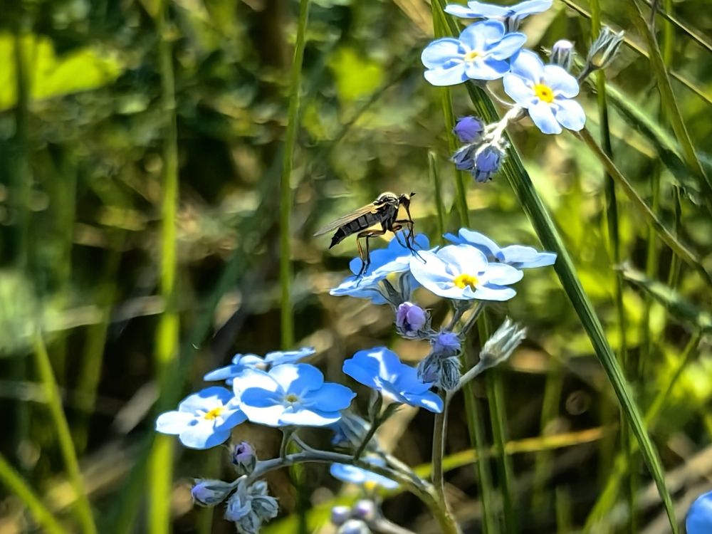 Photograph by Ольга Рыбалова