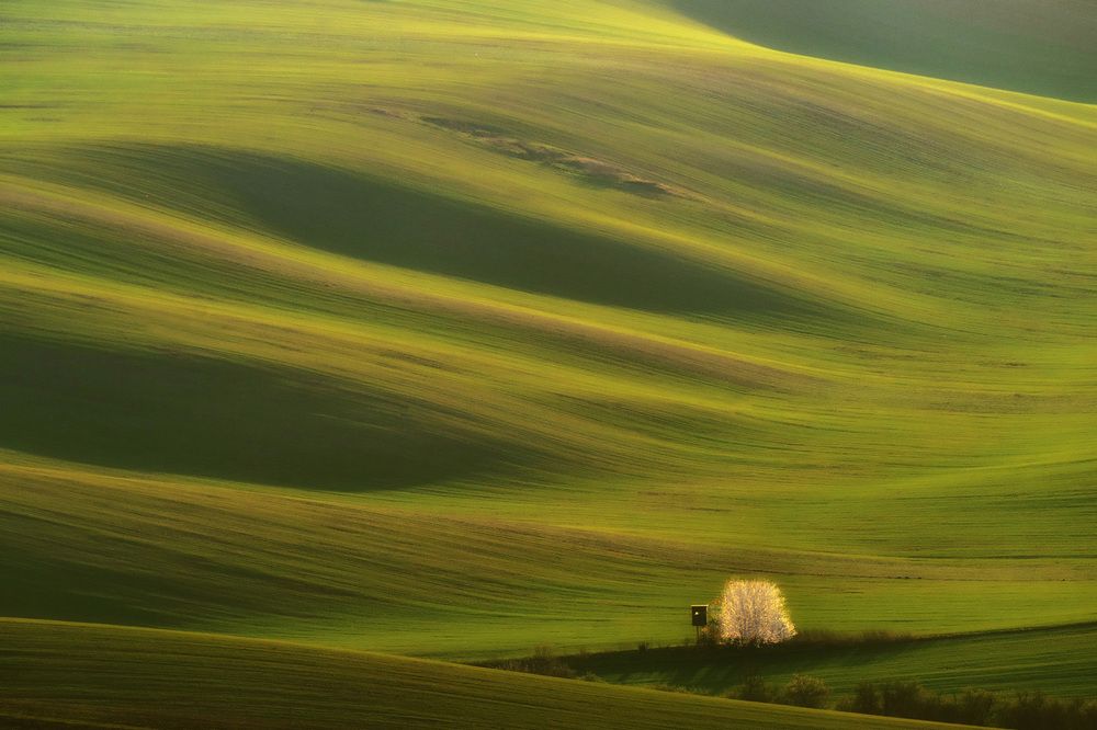 In the field