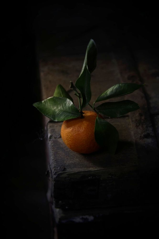 Photograph by Яна Сальникова