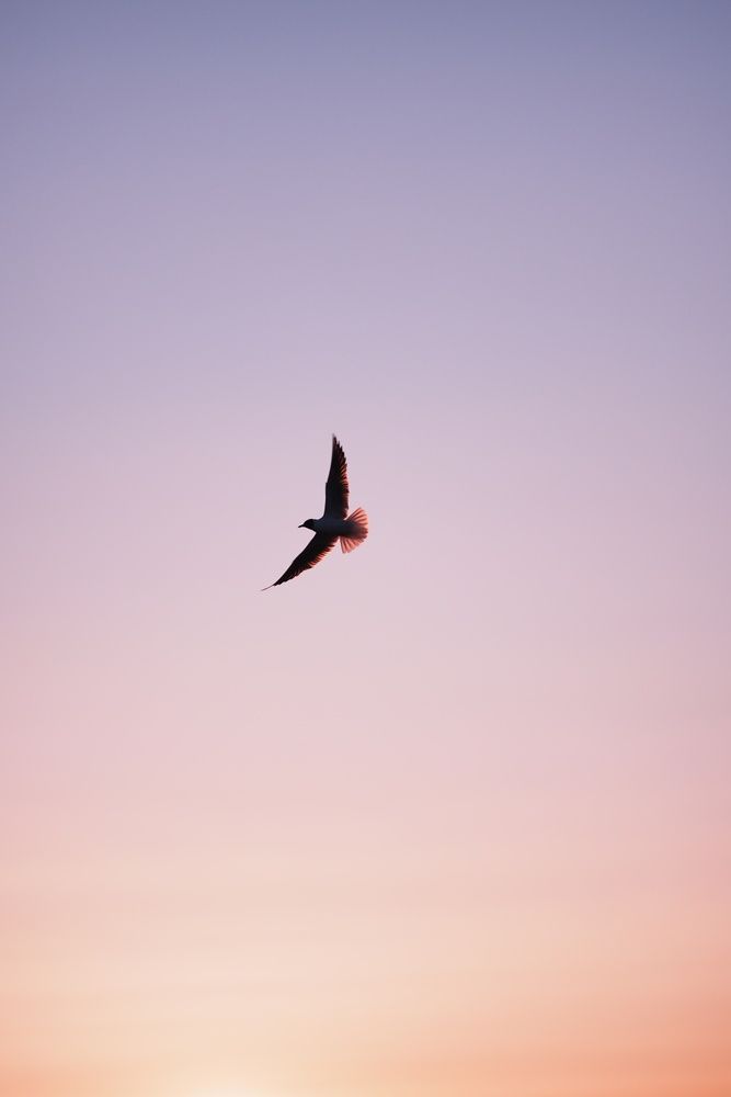 Photograph by Анастасия Пьянкова
