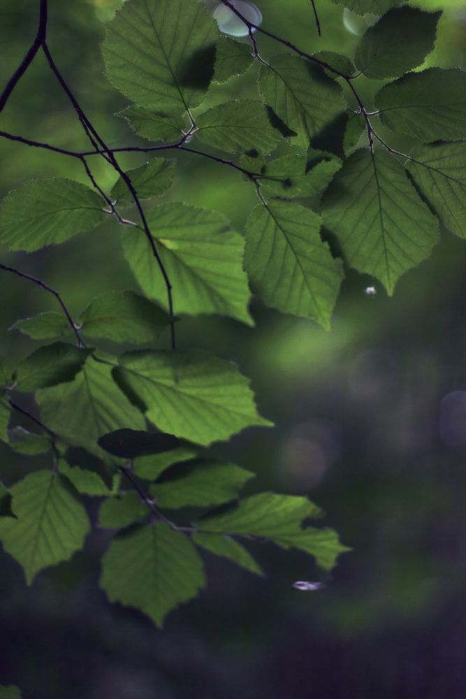 Photograph by Валерия Ионова