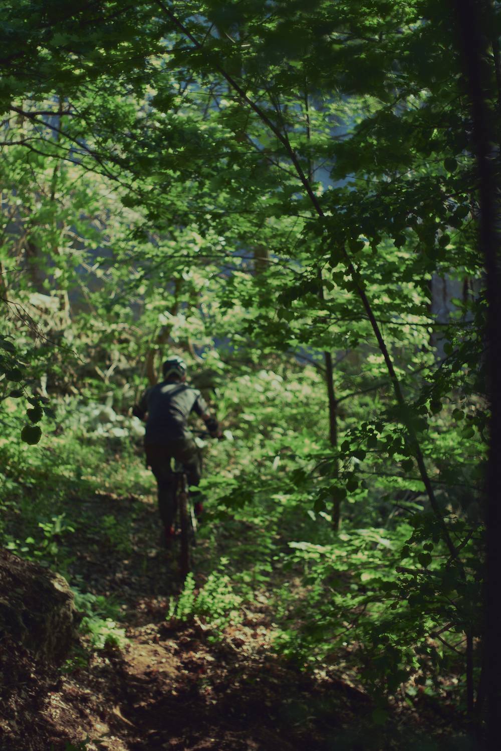 Photo #13646648