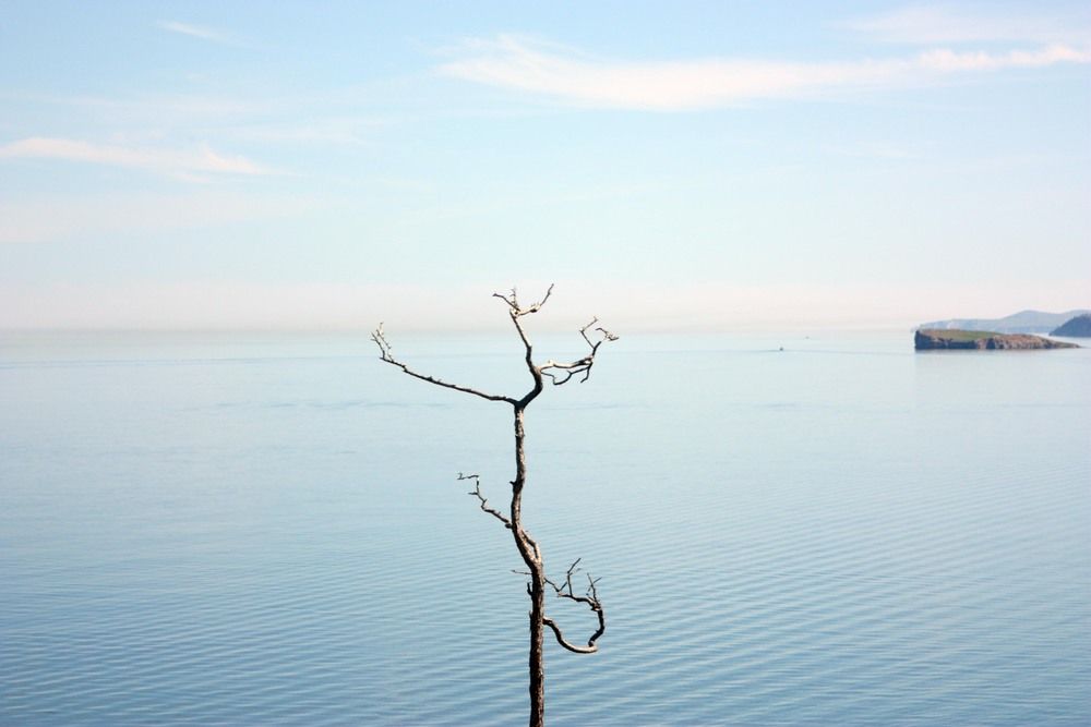 Photograph by Алексей Банных