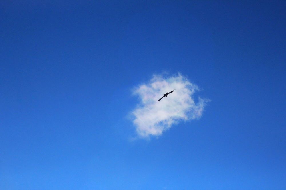 Photograph by Ульяна Митрофанова