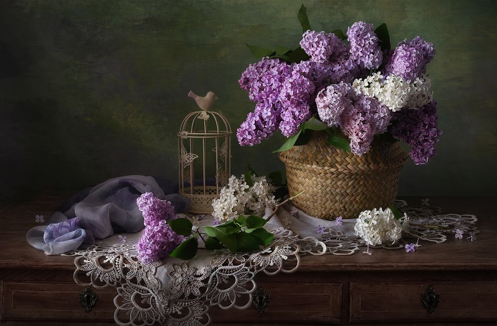 Photograph by S. Dana