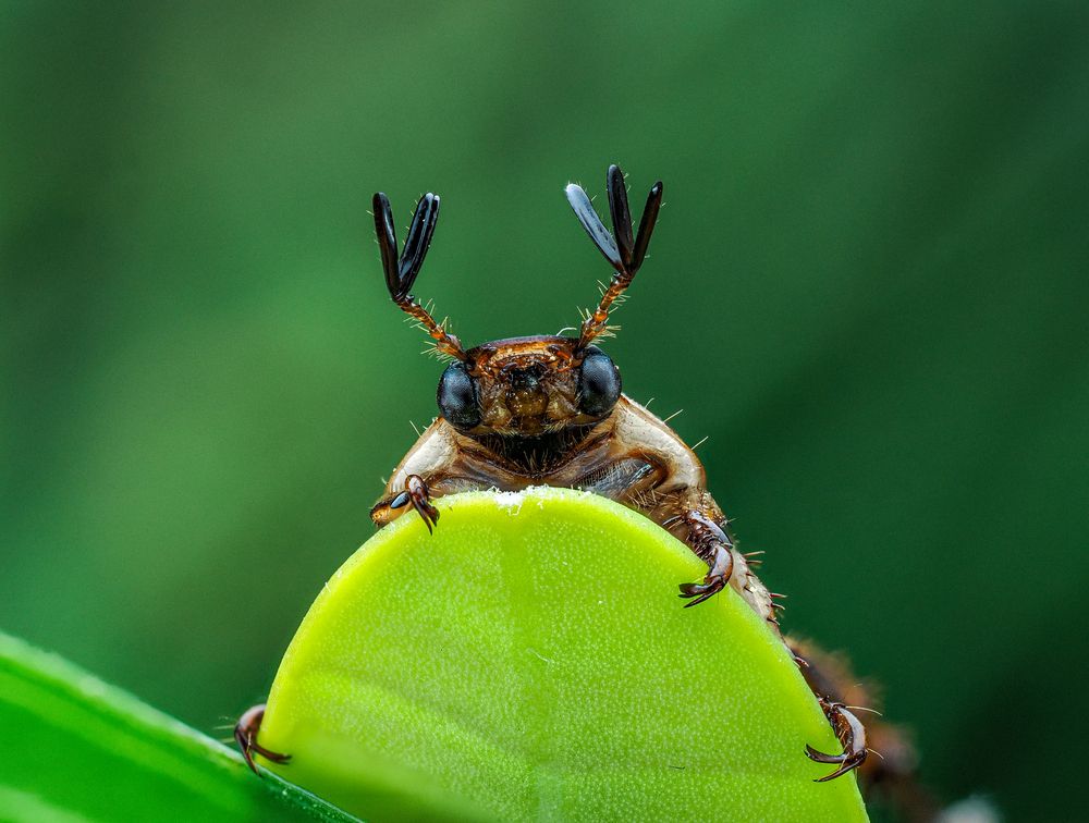 Photograph by Trinh Hoang Duc Loc