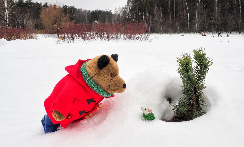 Фотография автора Елена Лаврова