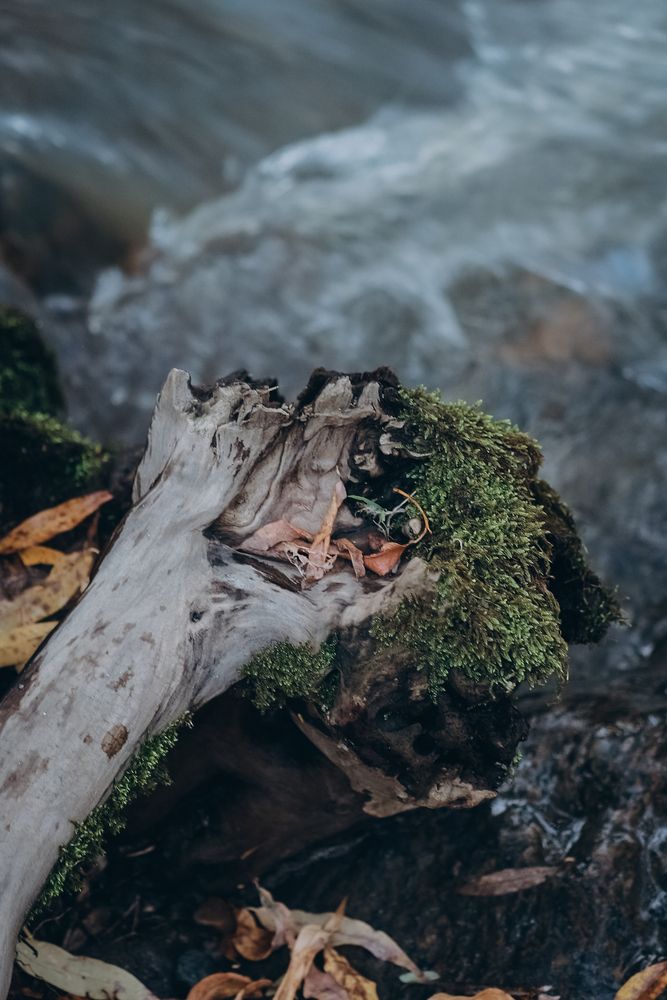 Photograph by Ригина Айдель