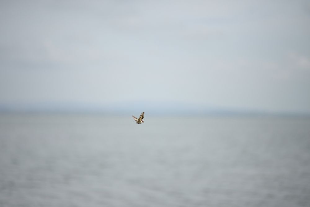 Photograph by Наталья Иванова