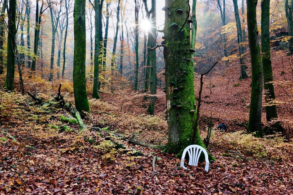 Photograph by Rocio Martin