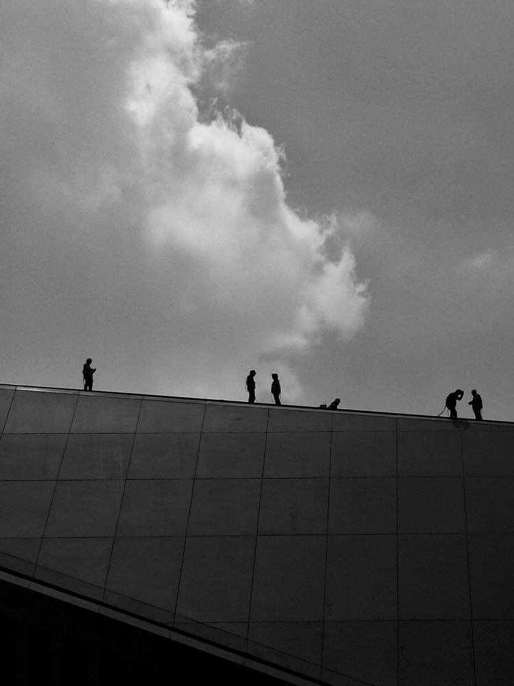 Photograph by Diego Cesar Monroy Chaparro