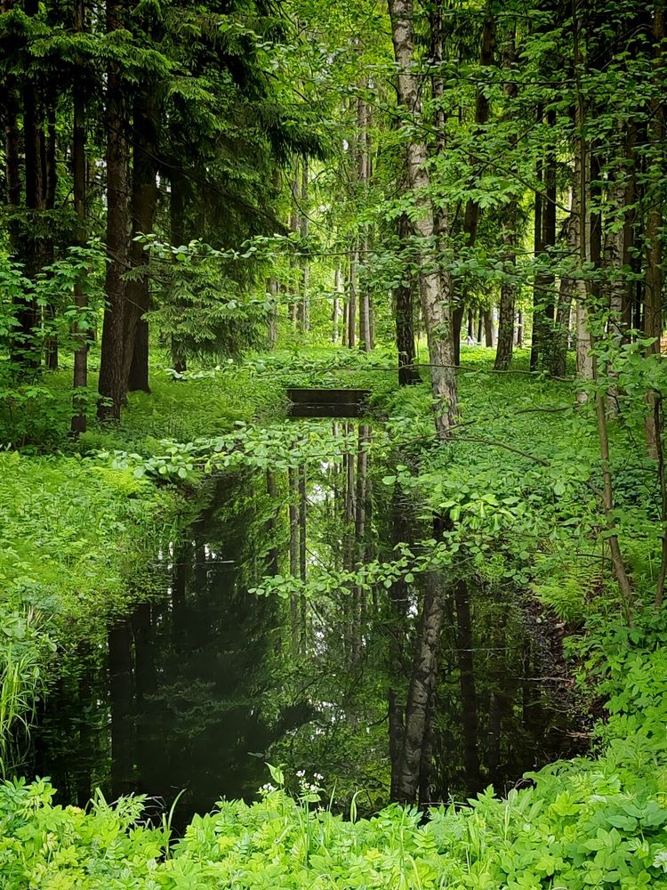 Photograph by Ольга Рыбина