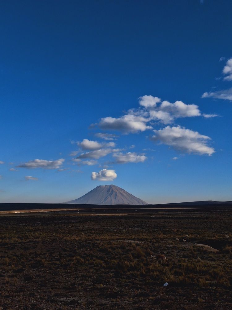 Photograph by Diego Cesar Monroy Chaparro