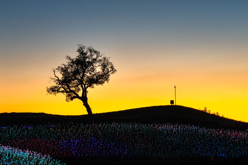 Photograph by j bao