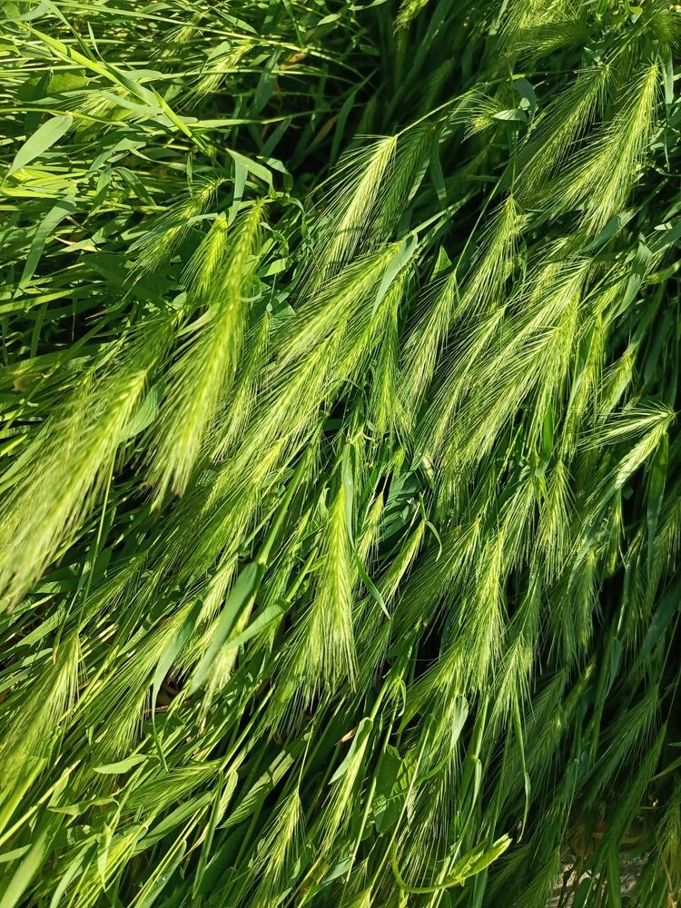 Photograph by Татьяна Пальчикова