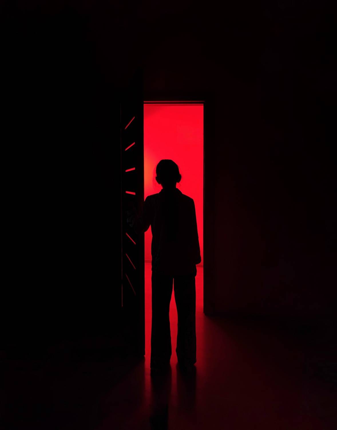 Photo #13646878