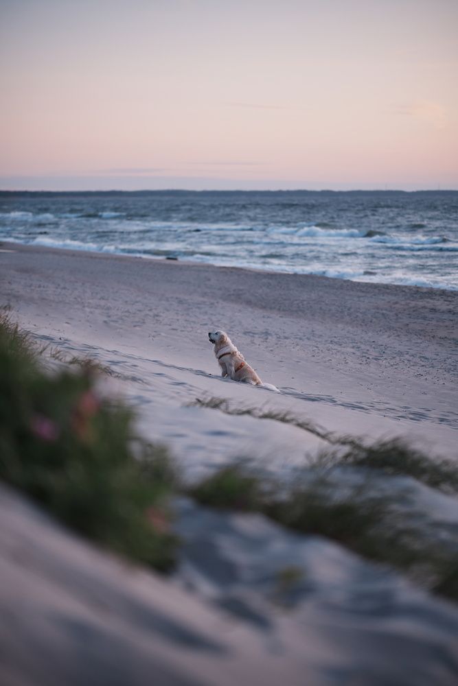 Photograph by Анастасия Пьянкова